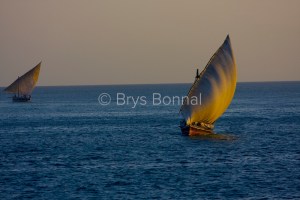 Vers Zanzibar